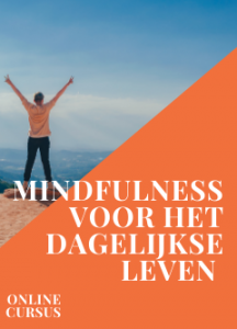 Mindfulness voor het dagelijkse leven